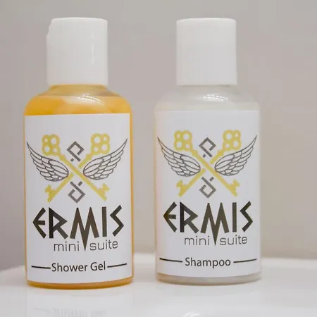 Apartament εrmis Mini #2 *